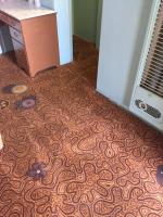 All Year Carpet Cleaning image 3